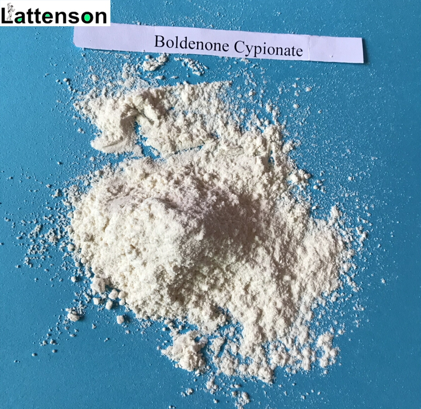 Boldenone Series Boldenone Cypionate pour supplément de musculation 106505-90-2