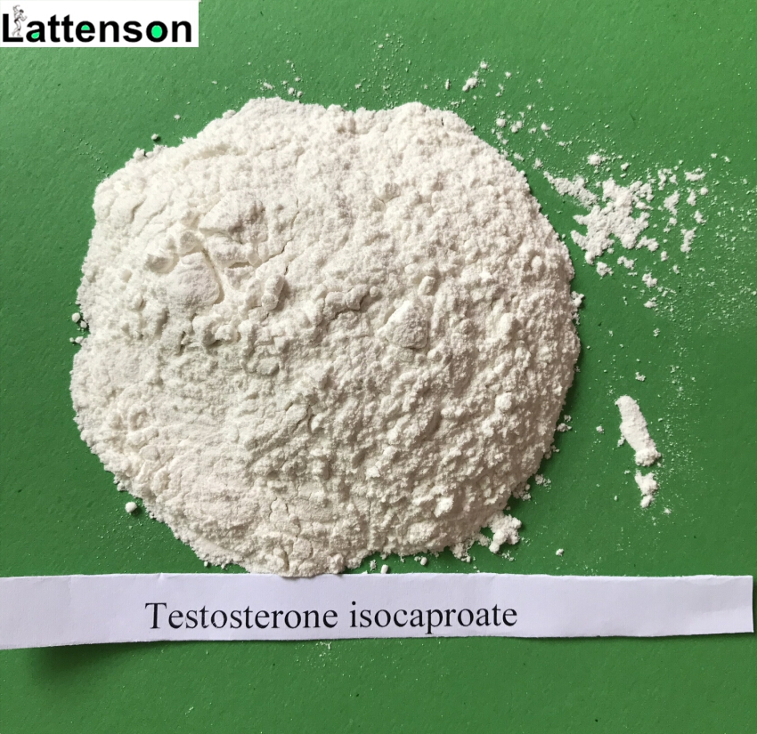 Testosteron Isocaproat