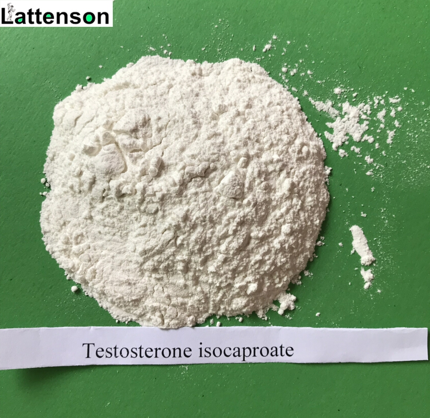 Isocaproate de testostérone