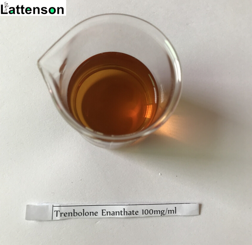 Train E / Trenbolone Énanthate (Parabole) 100mg/ml