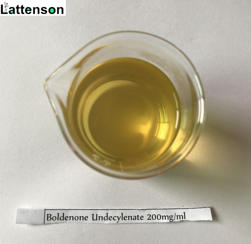 Undecilenato de boldenona 200 mg/ml