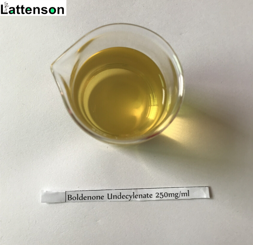 Undecilenato de boldenona / Equilibrio 250mg/ml