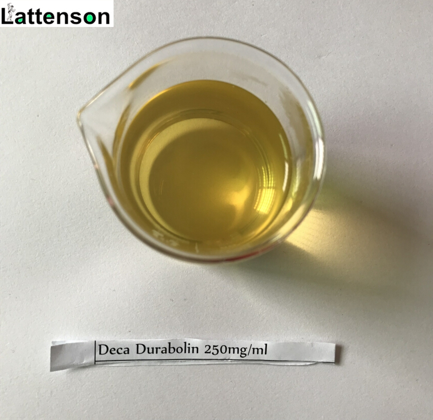 Nandrolone Déca 250 Huile de stéroïdes anabolisants injectables Durabolin / Décanoate de nandrolone 250 mg / ml pour un muscle énorme