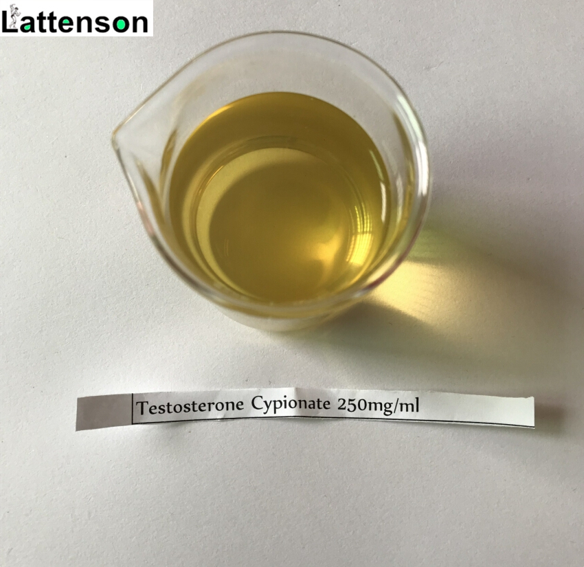 Test d'huile semi-finie liquide jaune Cyp 250mg/ml / Cypionate de testostérone 250 mg / ml pour la musculation