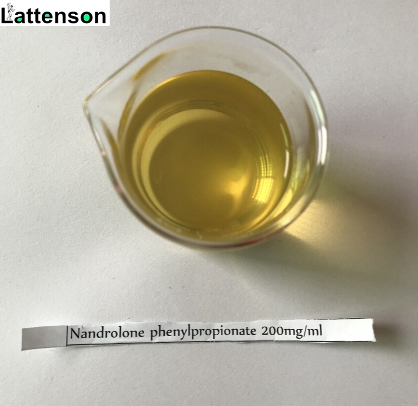 Phenylpropionate 200mg/ml de nandrolona Serie líquida de esteroides semiacabada CAS 62-90-8