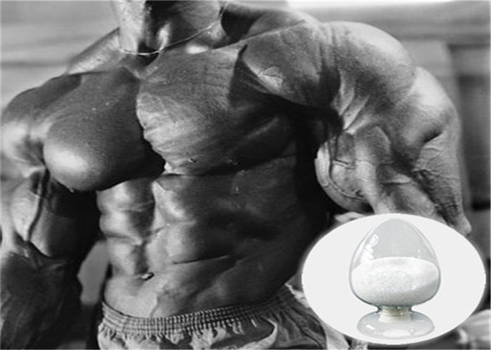 Raw Sarm Powder 99% Purity Mk-677/Mk677 for Muscle Building