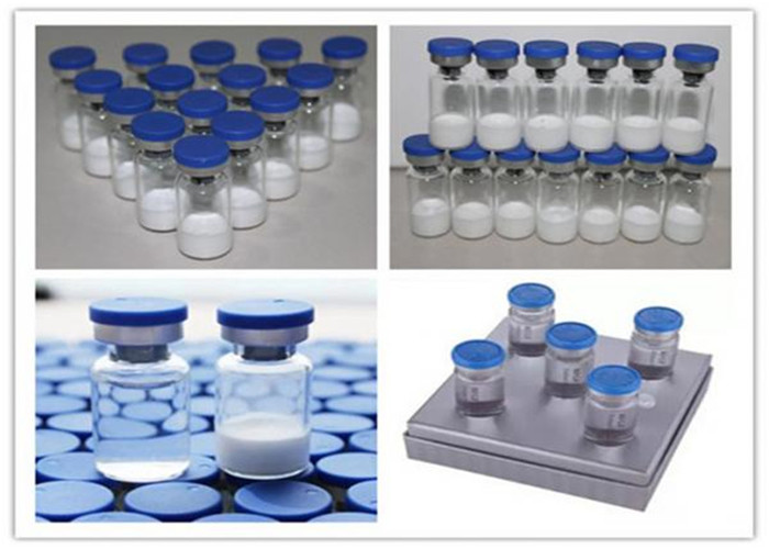 99% Assay Growth Hormone Peptides Peg-Mgf CAS 51022-70-9 2 mg / vial