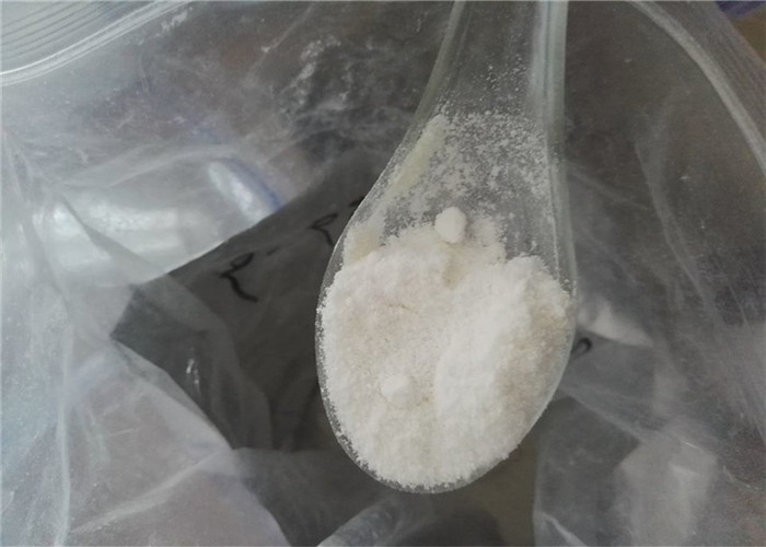 Safety Testosterone Phenylpropionate Raw Steroid Powders For Musclexz